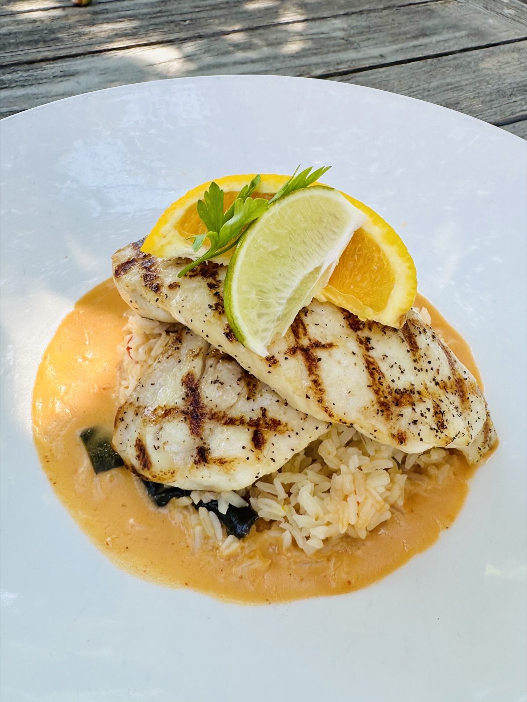 Grilled black drum fillets over Mexican rice in chipotle cream salsa, garnished with orange, lime and parsley